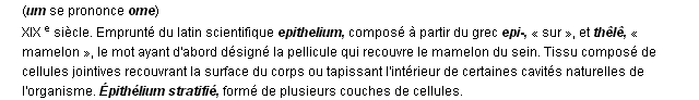 épithélium définition épithélium définition